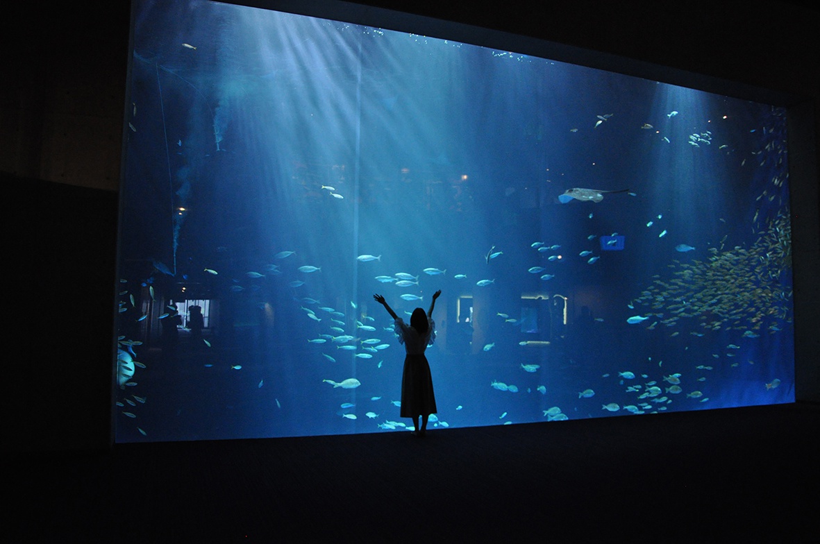 水族館 香川